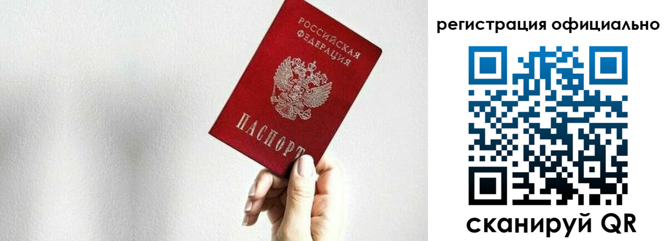 прописка поиск в Курской области